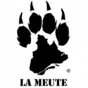 Congédié parce qu'il milite pour La Meute ? Congédié parce qu'il milite pour La Meute ?