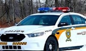 Vaste opération impliquant 700 policiers