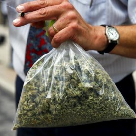 Légalisation du cannabis : une journée particulière hier