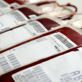 Témoins de Jéhovah et accommodements religieux