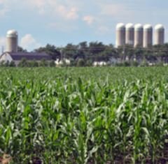 Regroupement de producteurs agricoles à Québec vendredi (11 novembre)