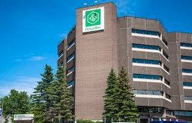 Desjardins embauchait une fraudeuse sans le savoir