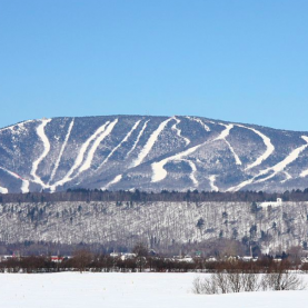 Fermeture des stations de ski et patinoires