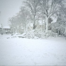 Lendemain de tempête au Québec