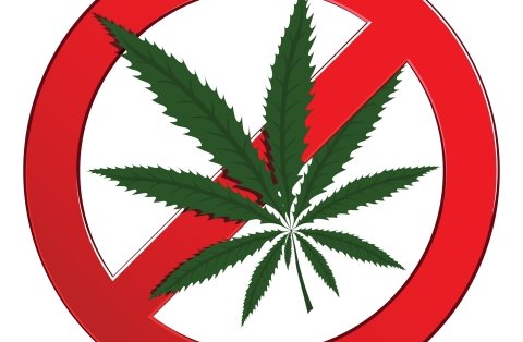 Québec interdit la vente de bonbons au cannabis
