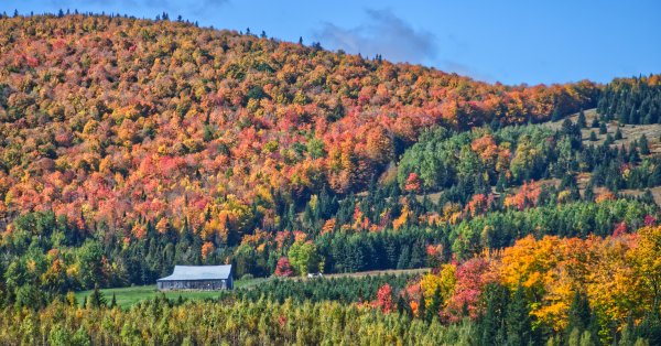 UN BEL AUTOMNE EN VUE