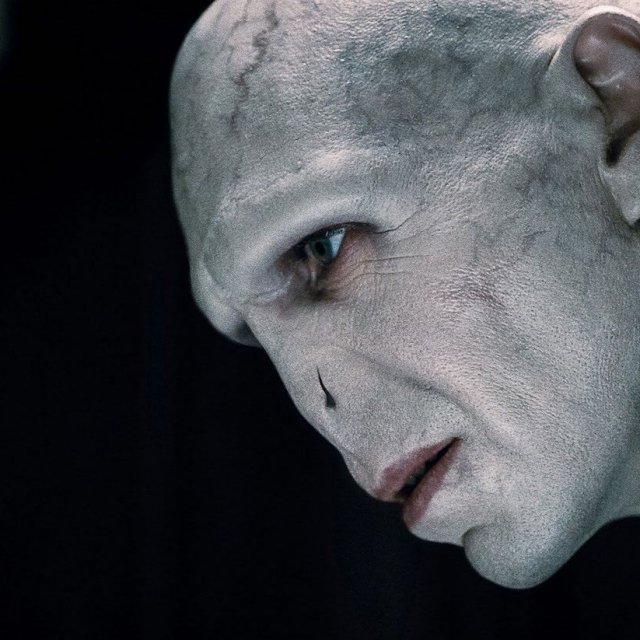 VOLDEMORT : LES ORIGINES DE L'HÉRITIER