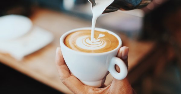 Quel lait et boisson végétale choisir pour un latte réussi?