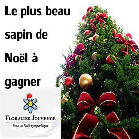 Gagnez le sapin de Noël de vos rêves !