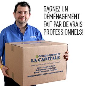 Déménagement la Capitale vous aide à sortir votre Tanguy de chez vous!