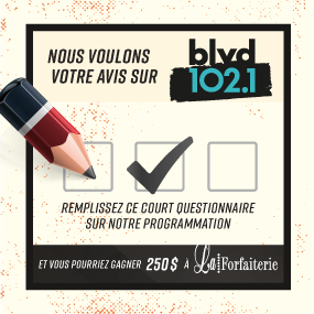 Questionnaire web BLVD