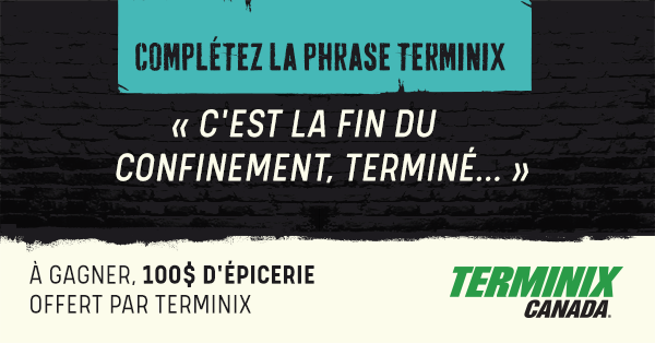 Complétez la phrase Terminix : « Le confinement est fini, terminé… »