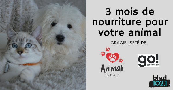 Remportez 3 mois de nourriture pour chien ou chat gracieuseté Animali! 
