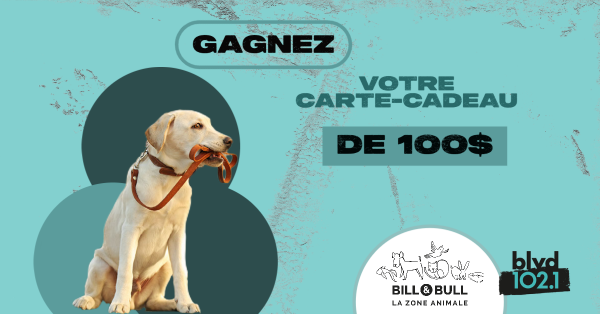 Le jour où votre animal est entré dans la famille