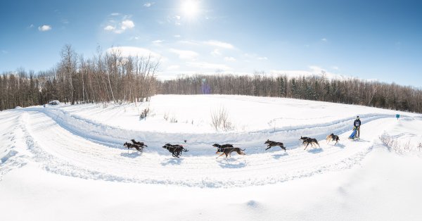 Défi hivernal de Portneuf – Élégance Animale 