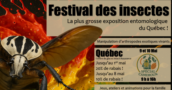 Festival des insectes