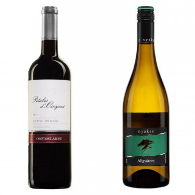 Suggestions de vins de Jessica Harnois